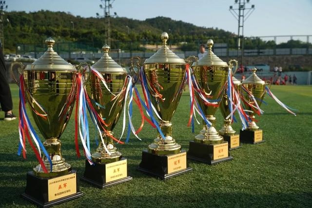 费内巴切500万欧租塔利斯卡 承担一半薪资优先买